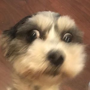 Meet your Posher, Brandy